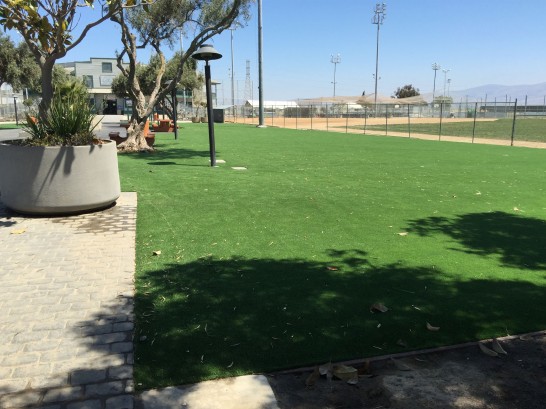 Artificial Grass Photos: Artificial Lawn Hoboken, New Jersey Paver Patio, Parks