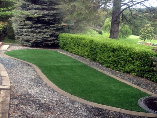 Artificial Grass Photos: Artificial Lawn Kenner, Louisiana Garden Ideas