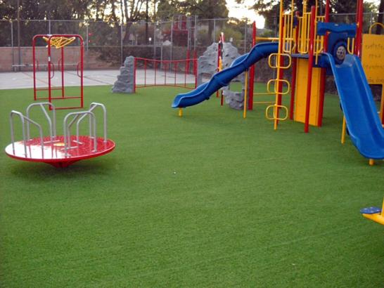 Artificial Grass Photos: Artificial Lawn Kennewick, Washington Landscape Photos, Parks