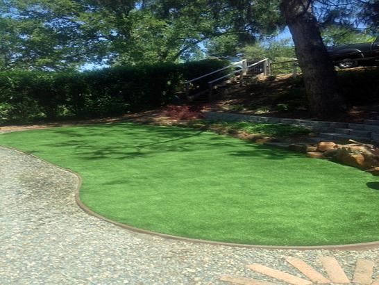 Artificial Grass Photos: Artificial Lawn Loveland, Colorado Rooftop, Backyard Garden Ideas