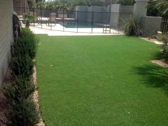 Artificial Grass Photos: Artificial Lawn Mount Pleasant, South Carolina Garden Ideas, Backyard Designs