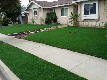 Artificial Grass Photos: Artificial Lawn Newton, Massachusetts City Landscape, Front Yard Landscaping Ideas