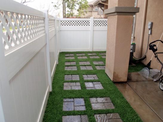 Artificial Grass Photos: Artificial Lawn Port Orange, Florida Garden Ideas, Backyard Landscaping Ideas