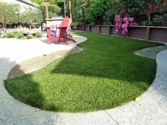 Artificial Grass Photos: Artificial Lawn Saint Peters, Missouri Dog Parks, Backyard Landscaping Ideas