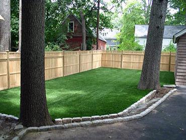 Artificial Grass Photos: Artificial Lawn South Gate, California Dog Grass, Backyards