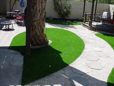 Artificial Grass Photos: Artificial Turf Bellevue, Washington Landscaping Business, Backyard Landscaping Ideas