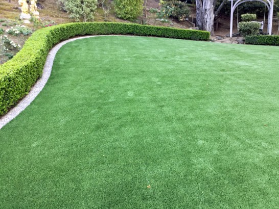 Artificial Grass Photos: Artificial Turf Blue Springs, Missouri Backyard Playground, Backyard Landscaping Ideas