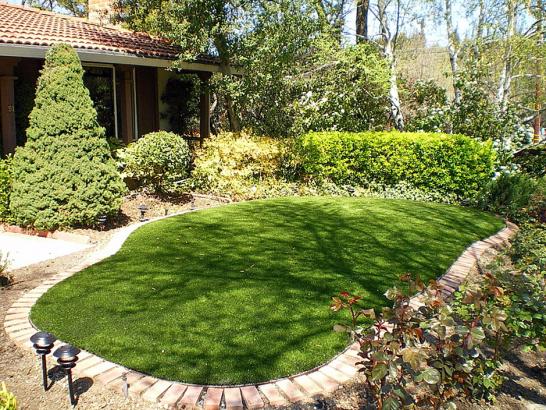 Artificial Grass Photos: Artificial Turf Brookline, Massachusetts Gardeners, Backyard Garden Ideas