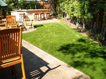 Artificial Grass Photos: Artificial Turf Cost Arlington, Virginia Hotel For Dogs, Backyard Makeover