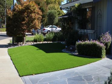 Artificial Grass Photos: Artificial Turf Cost Bellingham, Washington Backyard Playground, Landscaping Ideas For Front Yard