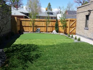 Artificial Grass Photos: Artificial Turf Cost Birmingham, Alabama Backyard Deck Ideas, Small Backyard Ideas