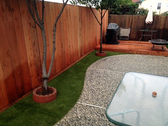 Artificial Grass Photos: Artificial Turf Cost Casper, Wyoming Pet Paradise, Backyard Ideas