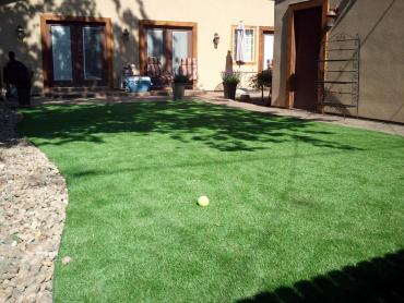 Artificial Grass Photos: Artificial Turf Cost Columbia, Missouri Lawn And Landscape, Backyard Design