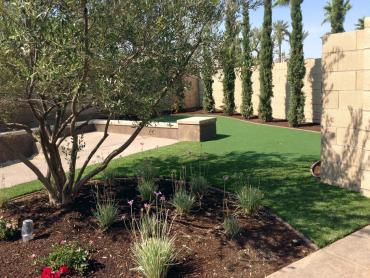 Artificial Grass Photos: Artificial Turf Cost Columbus, Georgia Design Ideas, Backyard Ideas