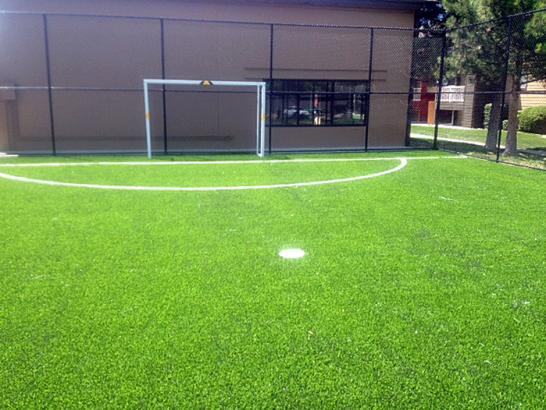 Artificial Grass Photos: Artificial Turf Cost Eau Claire, Wisconsin Landscaping