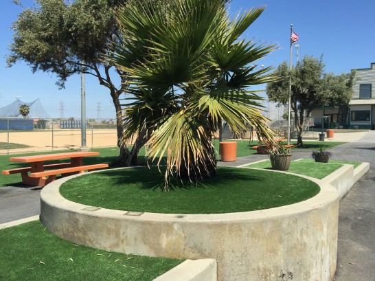 Artificial Grass Photos: Artificial Turf Cost Joplin, Missouri, Parks