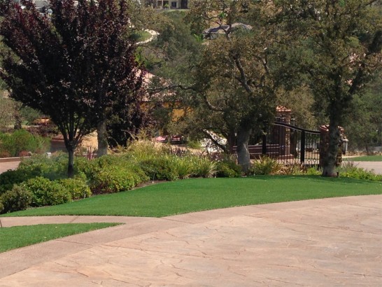 Artificial Grass Photos: Artificial Turf Cost Lakewood, New Jersey Gardeners, Backyard