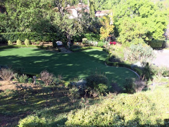 Artificial Grass Photos: Artificial Turf Cost Pensacola, Florida Garden Ideas, Backyard Landscaping