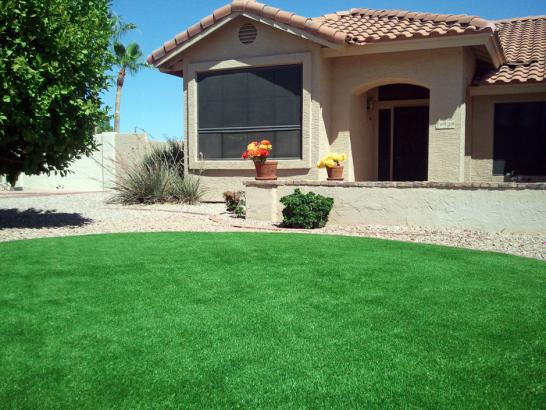 Artificial Grass Photos: Artificial Turf Cost Rochester Hills, Michigan Design Ideas, Front Yard Landscaping Ideas