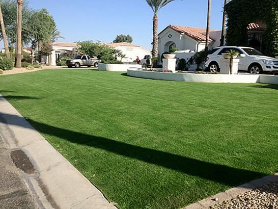 Artificial Grass Photos: Artificial Turf Cost Saint Clair Shores, Michigan Home And Garden, Front Yard Landscape Ideas