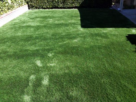 Artificial Grass Photos: Artificial Turf Cost San Ramon, California Hotel For Dogs, Backyard Landscape Ideas