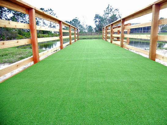 Artificial Grass Photos: Artificial Turf Cost Somerville, Massachusetts Dog Parks, Commercial Landscape