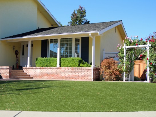 Artificial Grass Photos: Artificial Turf Cost Spring, Texas City Landscape, Front Yard Design