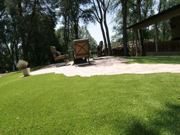 Artificial Grass Photos: Artificial Turf Cost Sunnyvale, California Landscape Rock, Backyards