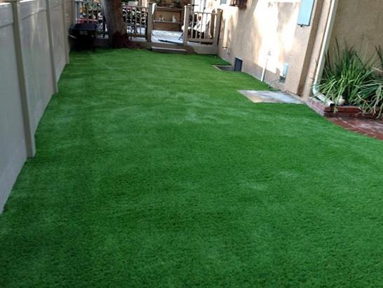 Artificial Grass Photos: Artificial Turf Council Bluffs, Iowa City Landscape, Beautiful Backyards