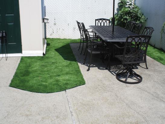 Artificial Grass Photos: Artificial Turf Deerfield Beach, Florida Landscaping Business, Backyard Ideas