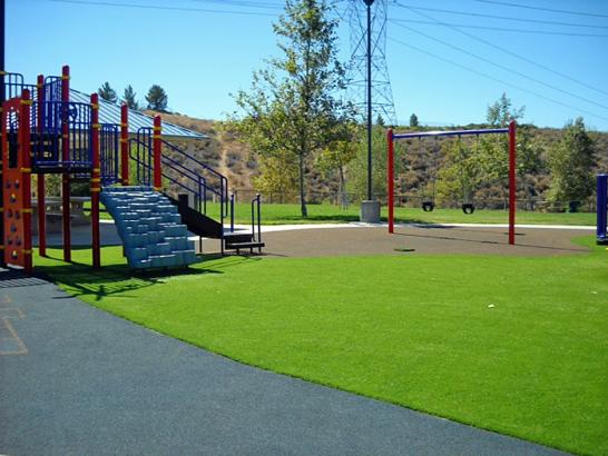 Artificial Grass Photos: Artificial Turf Eagan, Minnesota Roof Top, Recreational Areas