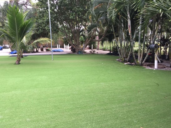 Artificial Grass Photos: Artificial Turf Elkhart, Indiana Home And Garden, Commercial Landscape