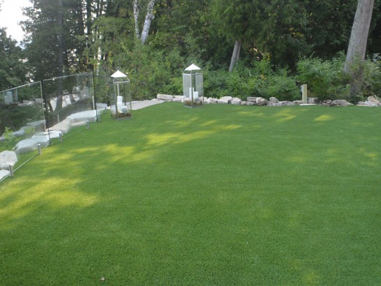 Artificial Grass Photos: Artificial Turf Harrisburg, Pennsylvania Landscape Design, Backyard Landscaping Ideas