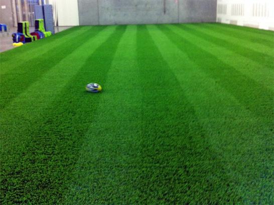 Artificial Grass Photos: Artificial Turf Huntington Park, California Sports Athority