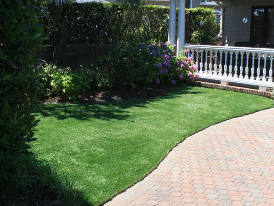 Artificial Grass Photos: Artificial Turf Installation Bethlehem, Pennsylvania Cat Grass, Front Yard Landscaping Ideas