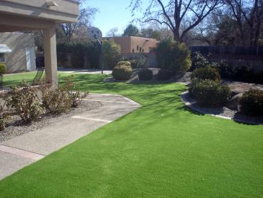 Artificial Grass Photos: Artificial Turf Installation Honolulu, Hawaii Landscaping, Front Yard Landscaping