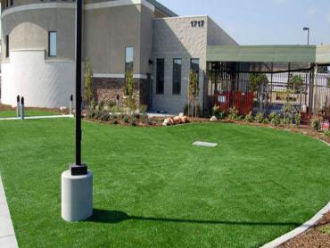 Artificial Grass Photos: Artificial Turf Installation Longmont, Colorado Paver Patio, Commercial Landscape