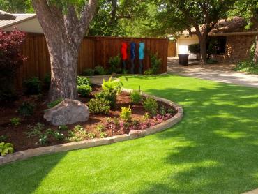 Artificial Grass Photos: Artificial Turf Lansing, Michigan Landscape Photos, Backyard Designs