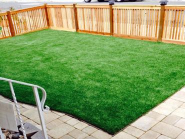 Artificial Grass Photos: Artificial Turf Mission Viejo, California Lawn And Garden, Backyard Landscaping