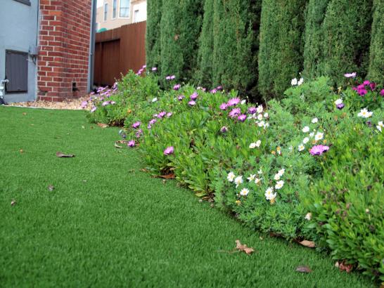 Artificial Grass Photos: Artificial Turf San Rafael, California Landscaping, Front Yard Ideas