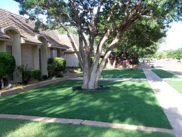 Artificial Grass Photos: Artificial Turf Thousand Oaks, California Landscape Design, Front Yard