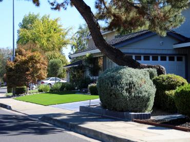 Artificial Grass Photos: Best Artificial Grass Asheville, North Carolina Landscaping, Front Yard
