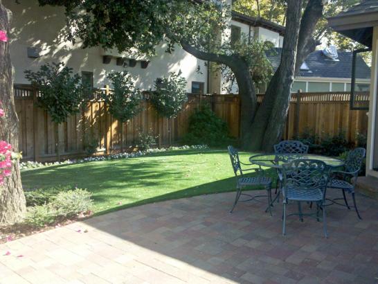 Artificial Grass Photos: Best Artificial Grass Atascocita, Texas, Backyard Landscaping Ideas