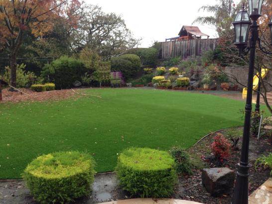 Artificial Grass Photos: Best Artificial Grass Centreville, Virginia Landscaping, Small Backyard Ideas
