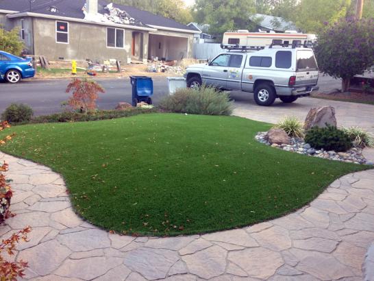 Artificial Grass Photos: Best Artificial Grass Cherry Hill, New Jersey Landscape Photos, Front Yard Landscaping Ideas