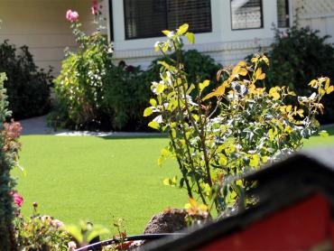 Artificial Grass Photos: Best Artificial Grass Danbury, Connecticut Rooftop, Front Yard Landscaping Ideas