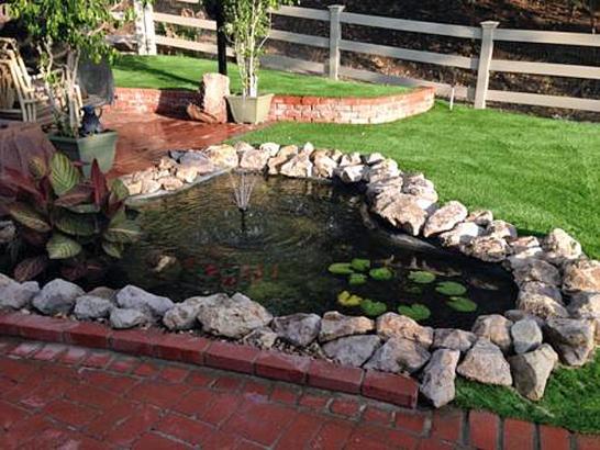 Artificial Grass Photos: Best Artificial Grass Franklin, Tennessee Landscape Design, Backyard Garden Ideas