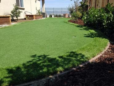 Artificial Grass Photos: Best Artificial Grass Grand Prairie, Texas Paver Patio, Backyard Makeover