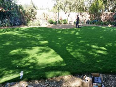 Artificial Grass Photos: Best Artificial Grass Greenville, North Carolina Landscape Design, Backyard Landscaping Ideas