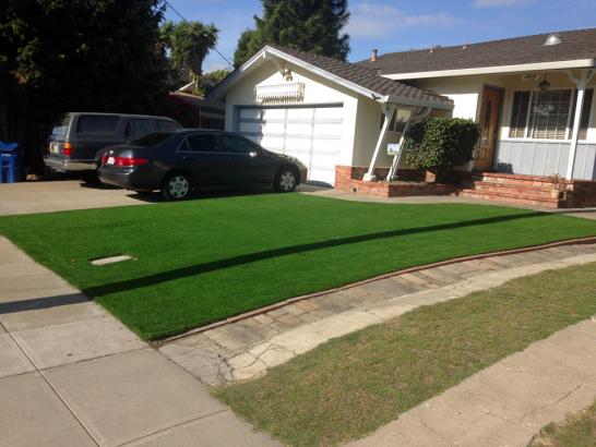 Artificial Grass Photos: Best Artificial Grass Kendall, Florida Lawns, Front Yard Landscape Ideas